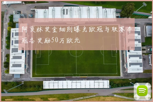 阿莫林奖金细则曝光欧冠与联赛夺冠各奖励50万欧元