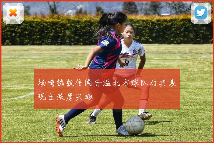 杨鸣执教传闻升温北方球队对其表现出浓厚兴趣